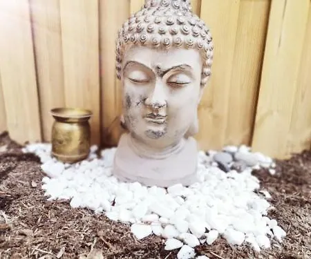 Des Pins Beynes (Alpes-de-Haute-Provence)