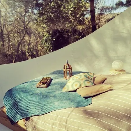 Guest house Des Pins Beynes (Alpes-de-Haute-Provence)