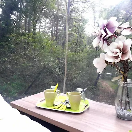 Des Pins Guest house *