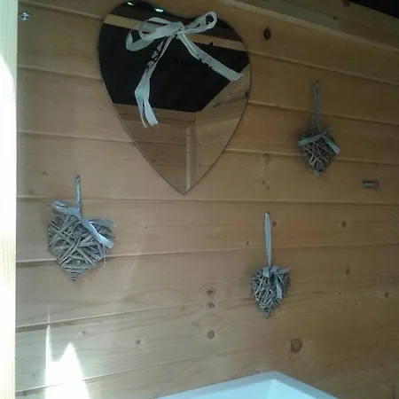 Des Pins Beynes (Alpes-de-Haute-Provence)
