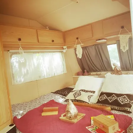 Des Pins Guest house *