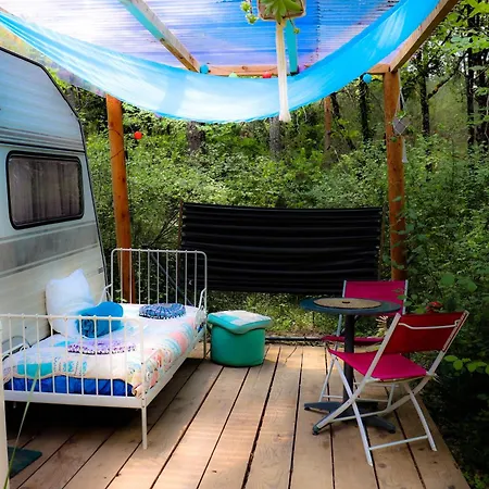 Des Pins * Beynes (Alpes-de-Haute-Provence)