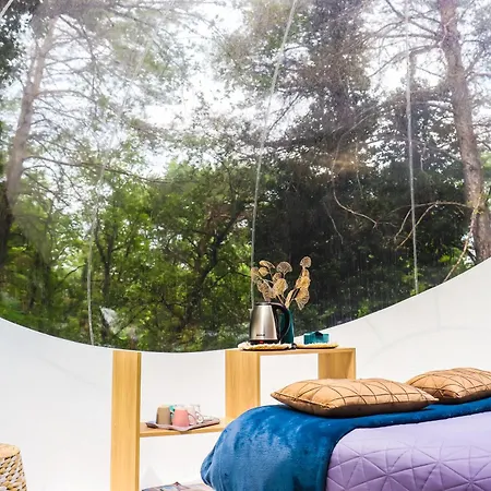 Des Pins Guest house *