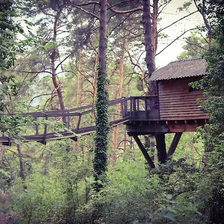 Guest house Des Pins *