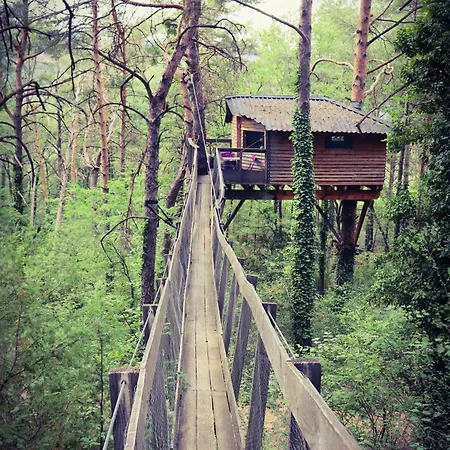 Guest house Des Pins *