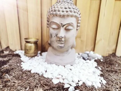 Des Pins Beynes (Alpes-de-Haute-Provence)