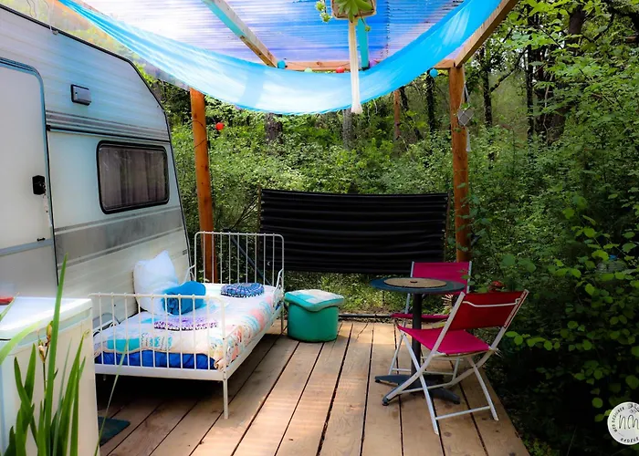 Des Pins * Beynes (Alpes-de-Haute-Provence)