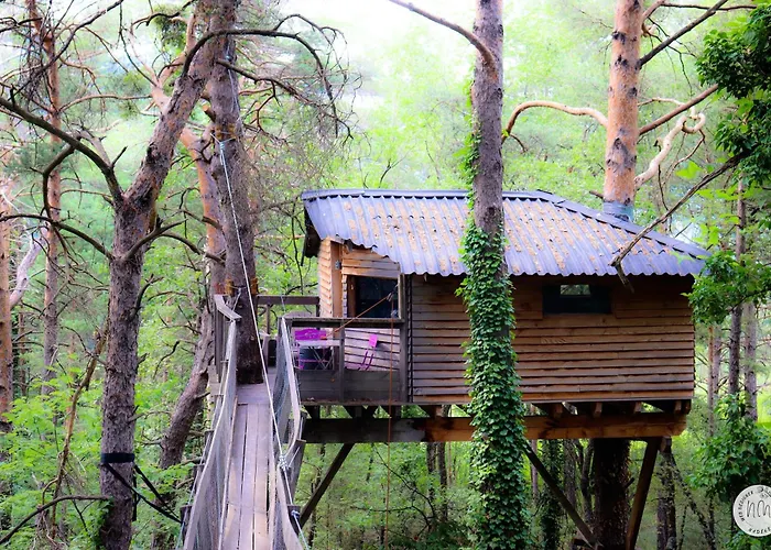 Des Pins Beynes (Alpes-de-Haute-Provence)