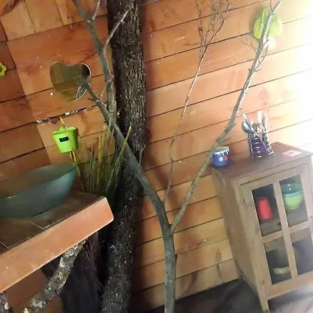 Des Pins * Beynes (Alpes-de-Haute-Provence)