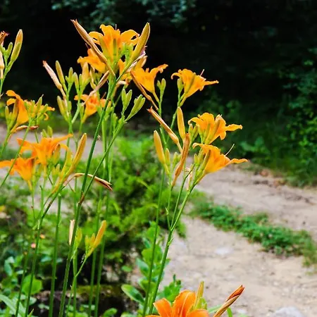 게스트하우스 Des Pins *