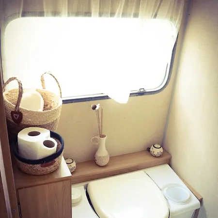 Des Pins Beynes (Alpes-de-Haute-Provence)