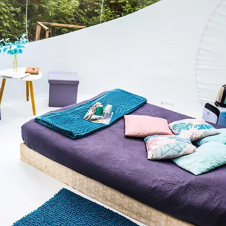 Des Pins 게스트하우스 Beynes (Alpes-de-Haute-Provence)