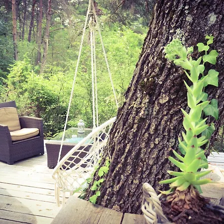 Des Pins 게스트하우스 Beynes (Alpes-de-Haute-Provence)