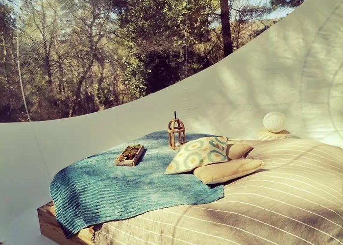 Guest house Des Pins Beynes (Alpes-de-Haute-Provence)