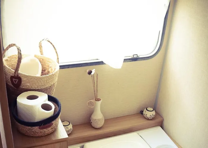 Des Pins Beynes (Alpes-de-Haute-Provence)