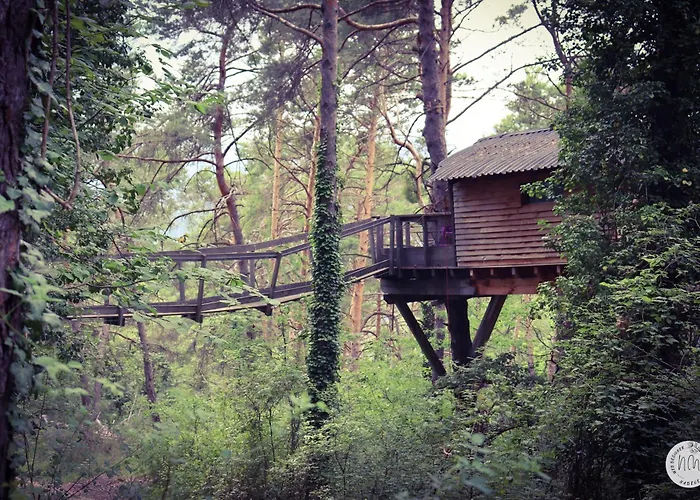 Guest house Des Pins *