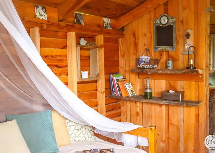 Des Pins * Beynes (Alpes-de-Haute-Provence)